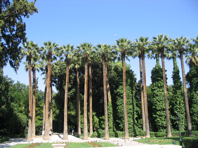 audioguida Giardino nazionale di Atene